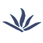 厦门大学信息门户