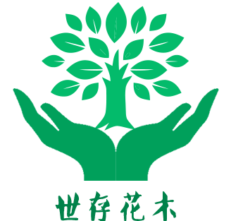 罗平便民网