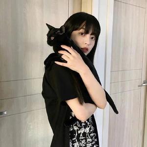 倦倦
