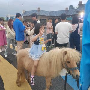 航航晗晗