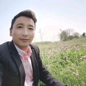 雨树林风
