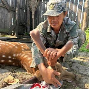 东北山特产