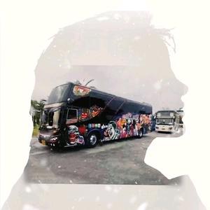 诺言二手客车
