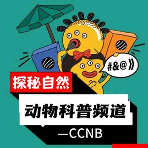 狗蛋动物纪录