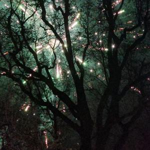 扭曲豆豆