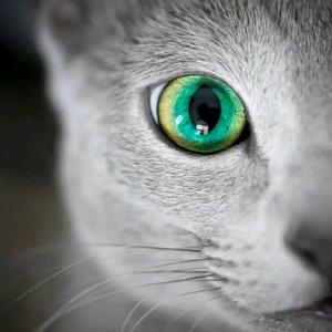 纪录星球