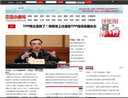 中国小康网