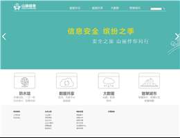 山丽网安