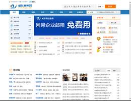 威龙商务网